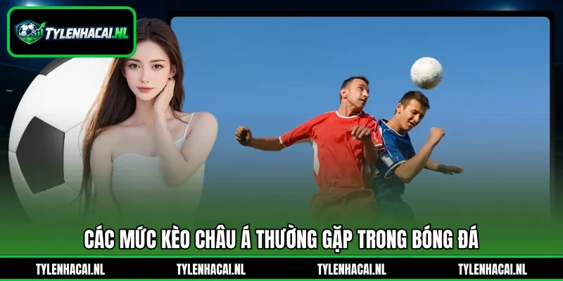Các mức kèo châu Á thường gặp trong bóng đá