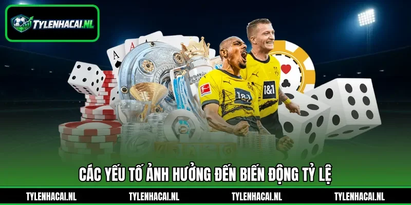 Các yếu tố ảnh hưởng đến biến động tỷ lệ