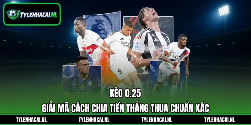 Kèo 0.25 - Giải Mã Cách Chia Tiền Thắng Thua Chuẩn Xác