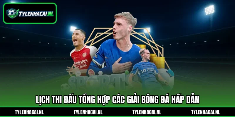 Lịch thi đấu tổng hợp các giải bóng đá hấp dẫn Lịch thi đấu tổng hợp các giải bóng đá hấp dẫn